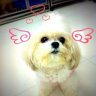 ติ๊ต่าง